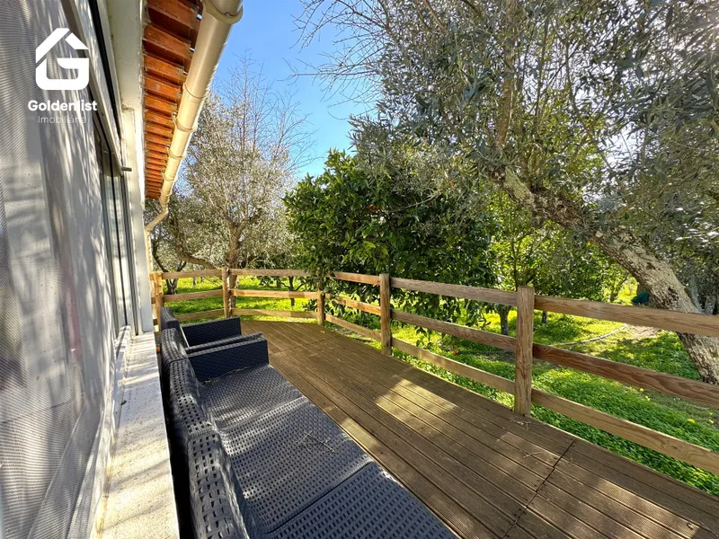 Quinta