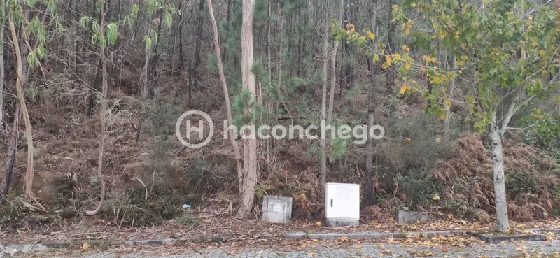 Piece of Real Estate