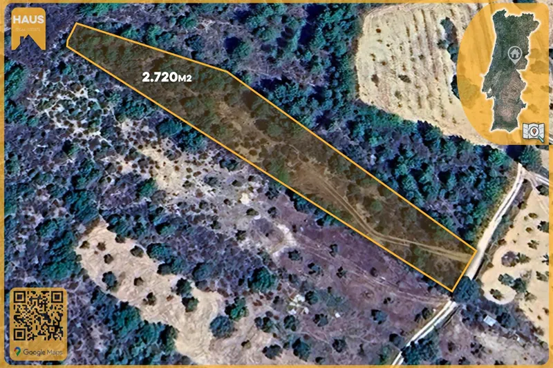 Terrain Rustique de 2 700 m² – Murs en Granit, Arbres Fruitiers