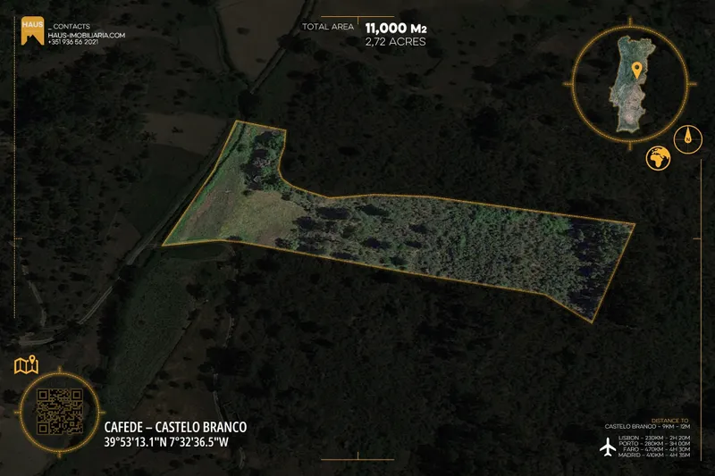 Terreno 1.1ha com Ruína e Vale Fértil | Cafede, Castelo Branco