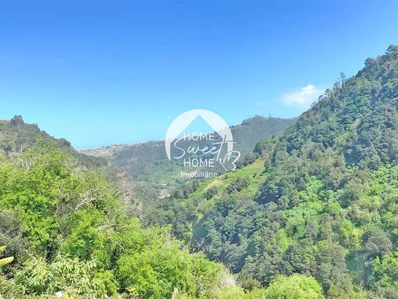 Terreno Rústico para construir, junto à Laurisilva