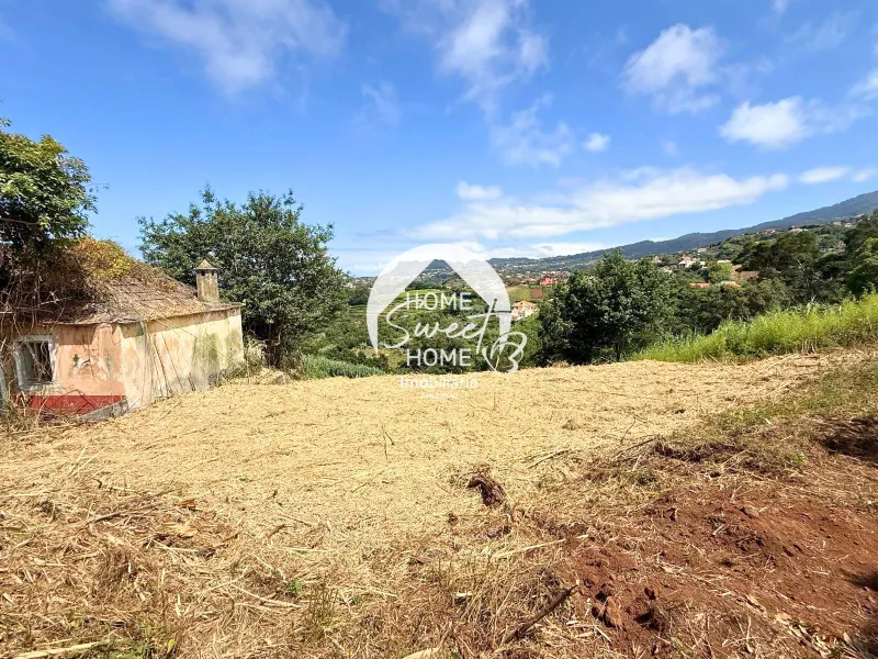 Construa em São Jorge, Santana
