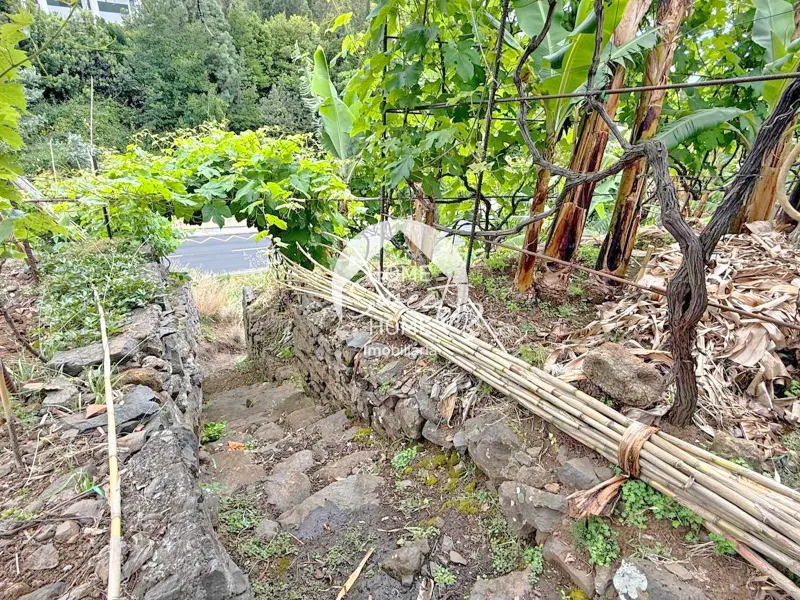 Armazém agrícola e terreno em Santo António, Funchal