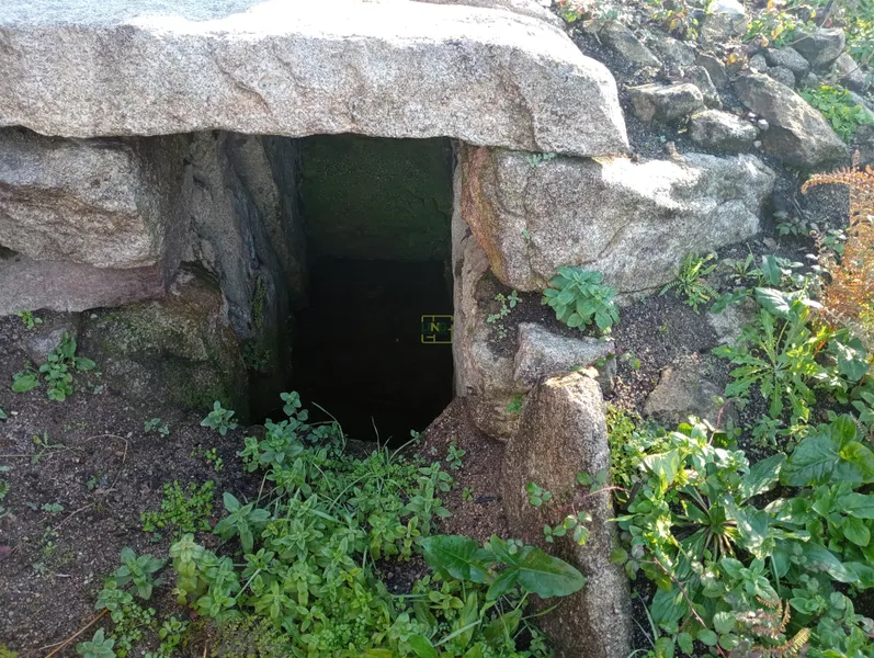 Excellent land with 76840m2 located in Aldeia das Águas, Penamacor.