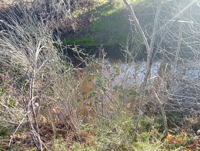 Terrain rural, Águas, Penamacor