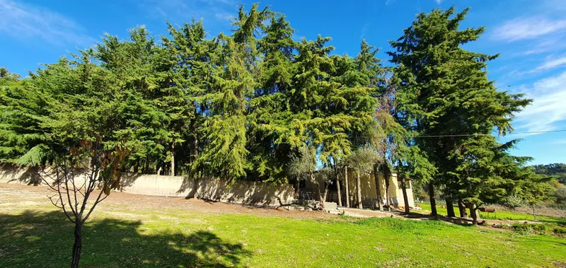 Ferme 3 Chambre(s)+1