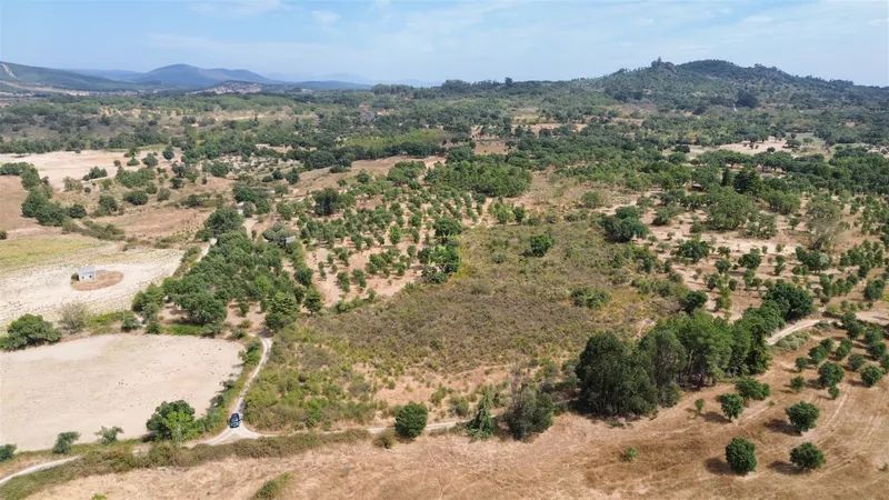 Terreno Rústico em Penamacor