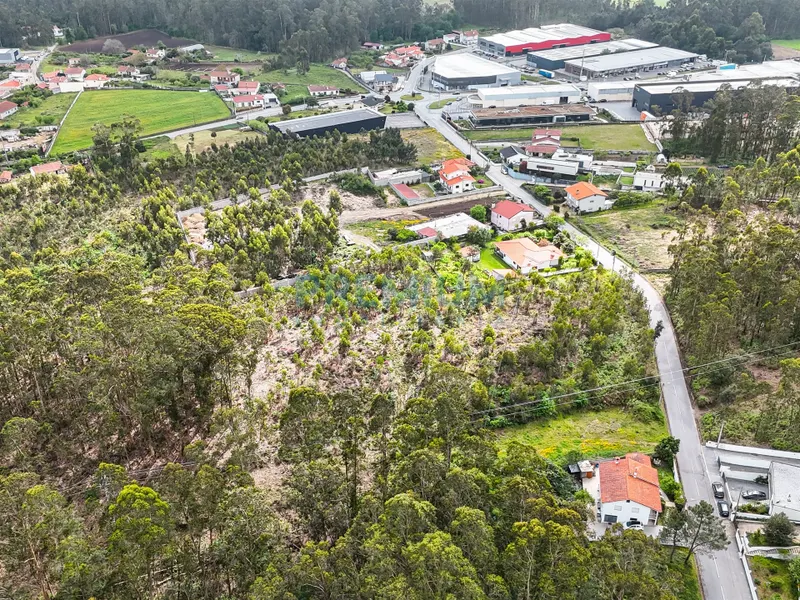 Terreno