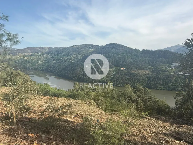 6 Land Plots for Sale – Quinta do Fojo, Baião