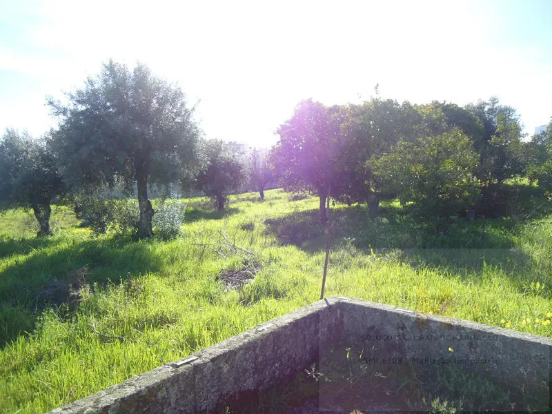 Lote Urbano - 176m2 implantação