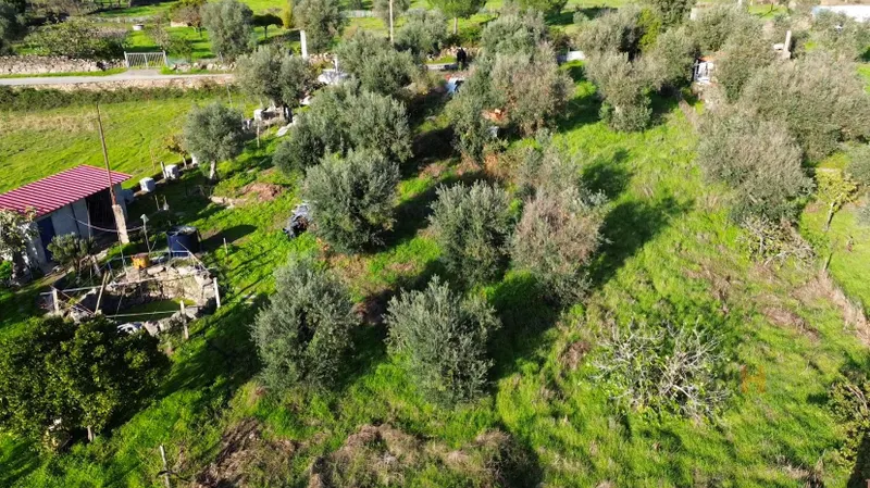 Terreno 500m2 - Lousa