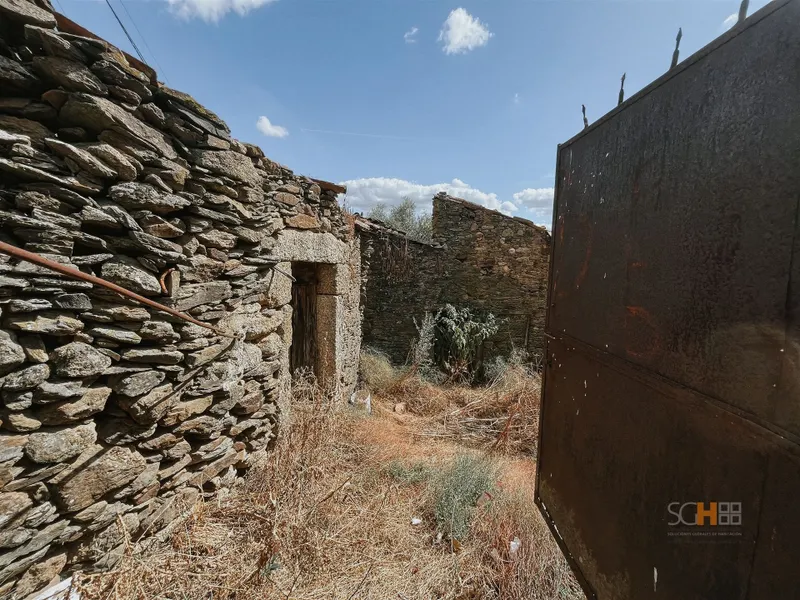 Palvarinho, Salgueiro