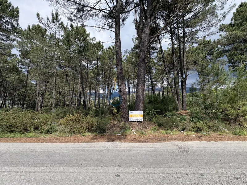 Lote de Terreno