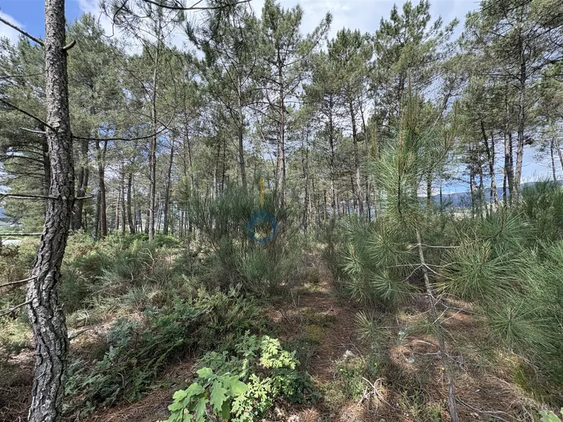 Lote de Terreno