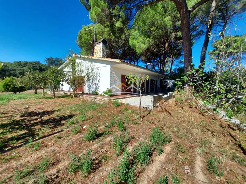 Moradia T4 Térrea com Terreno e Anexos em Tomar