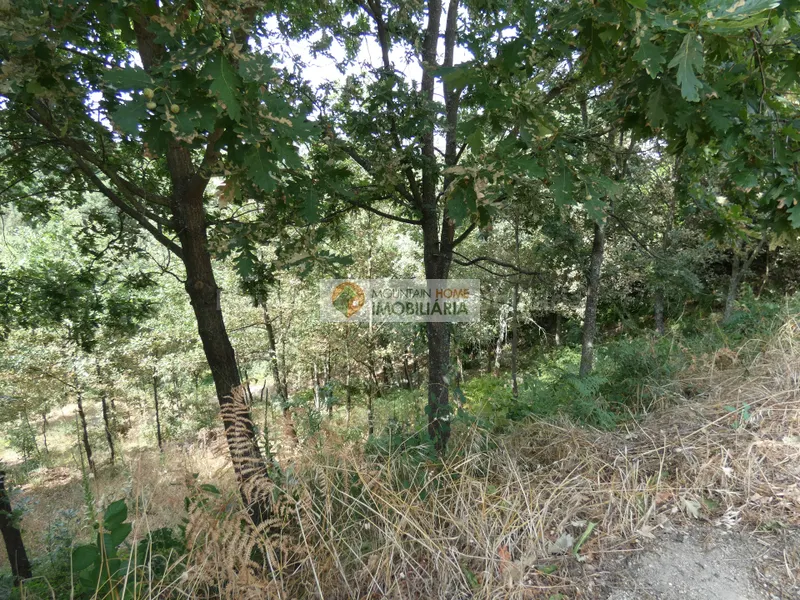 Terreno Para Construção