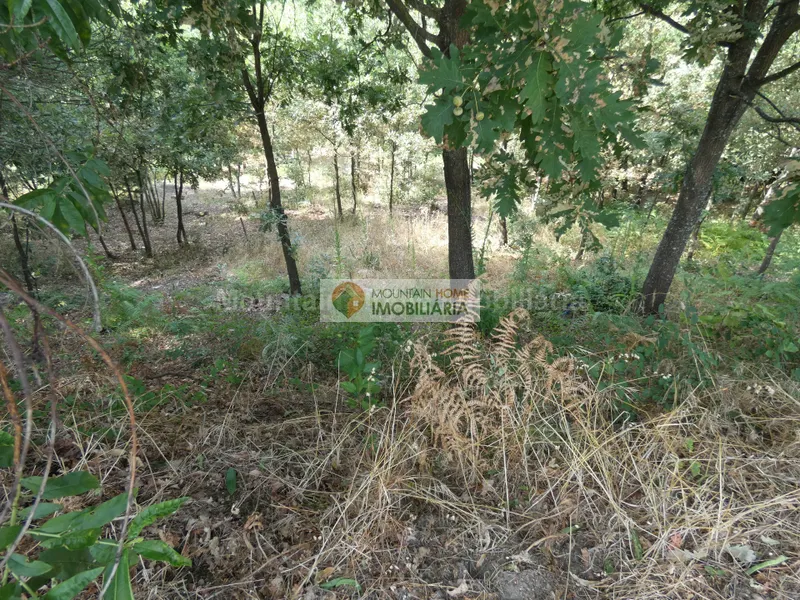 Terreno Para Construção