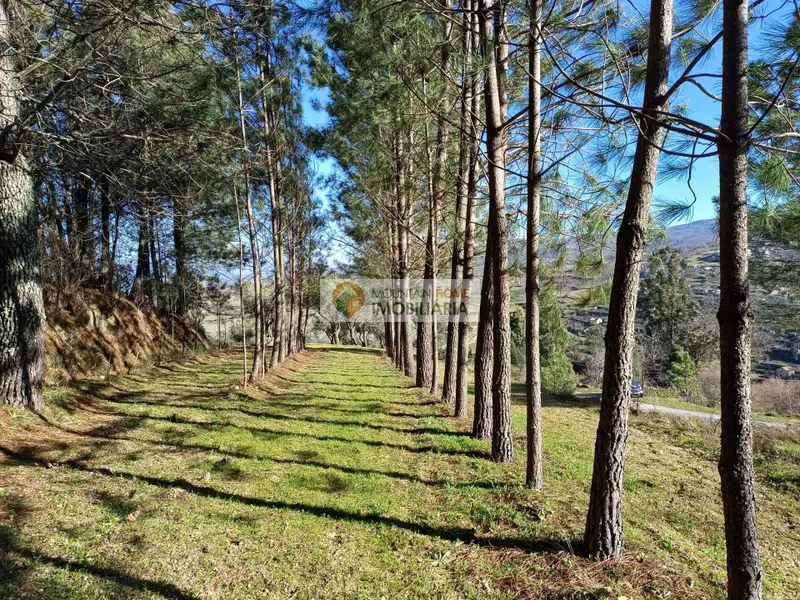 Piccola Fattoria 2 Vani