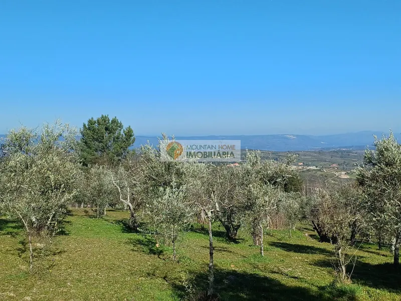 Piccola Fattoria 2 Vani