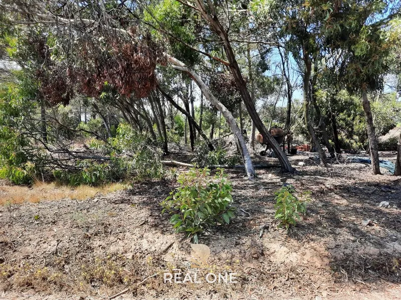 Terreno Rústico com 11 640 m2 em Aljezur