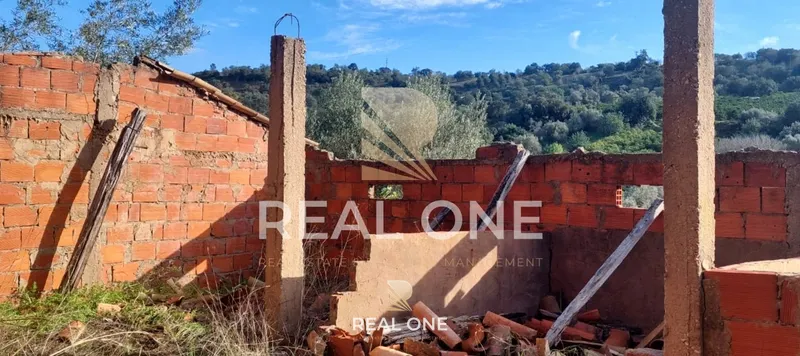 Terrain rustique de 4 555 m2 avec entrepôt