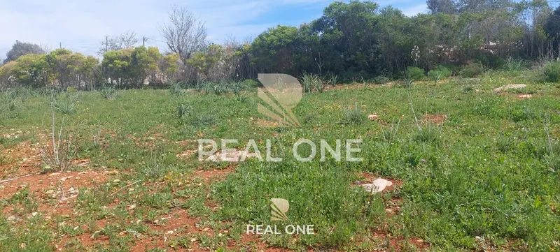 Terrain rustique de 4 555 m2 avec entrepôt