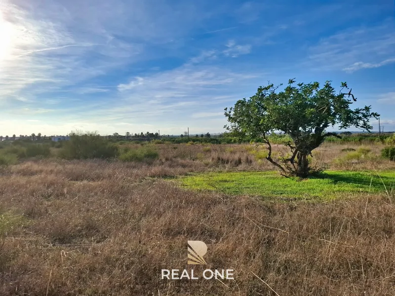 Land near Salgados, Galé, Vale Rabelho