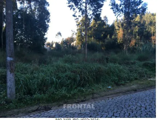 Terreno Rústico 13.400 m² Vikla Nova de Gaia