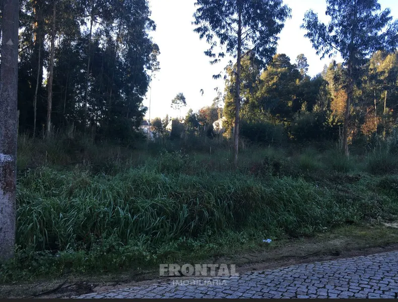 Terreno Rústico 13.400 m² Vikla Nova de Gaia