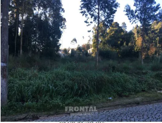 Terreno Rústico 13.400 m² Vikla Nova de Gaia