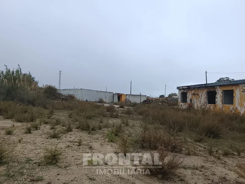 Terreno Industrial Plano – 7.200 m² | Perafita, Matosinhos