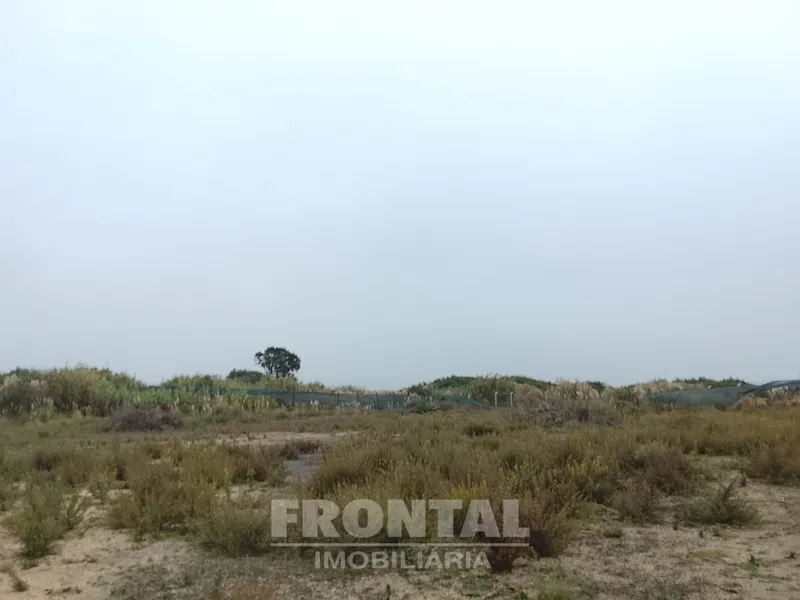 Terreno Industrial Plano – 7.200 m² | Perafita, Matosinhos