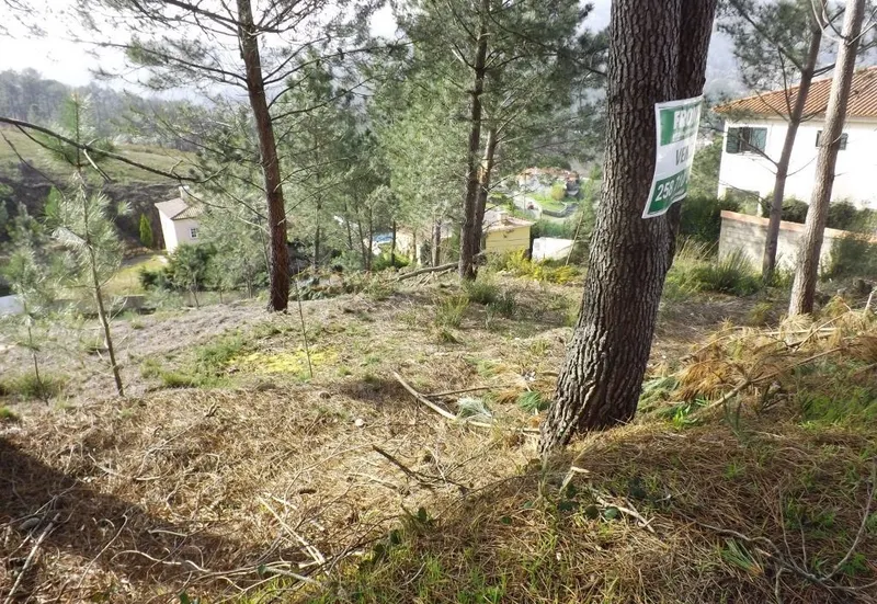 Terreno Para Construção