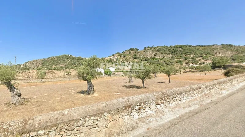 Terreno Rústico em Idanha-a-Nova - Oportunidade Única