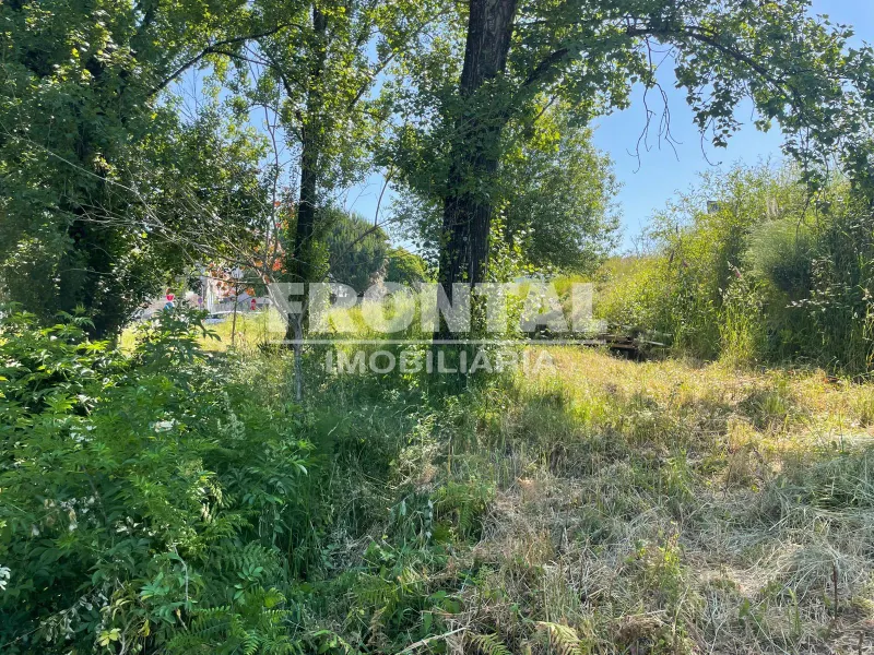 Terreno à venda – Oliveira do Douro