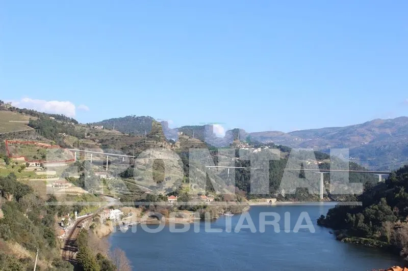 Terreno Único com Potencial Habitacional ou Agrícola &#124; Santa Marinha do Zêzere, Baião