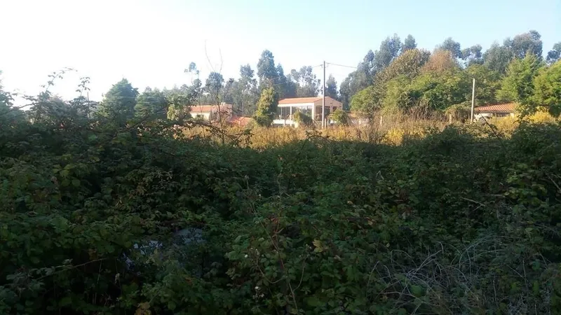 Terreno Para Construção