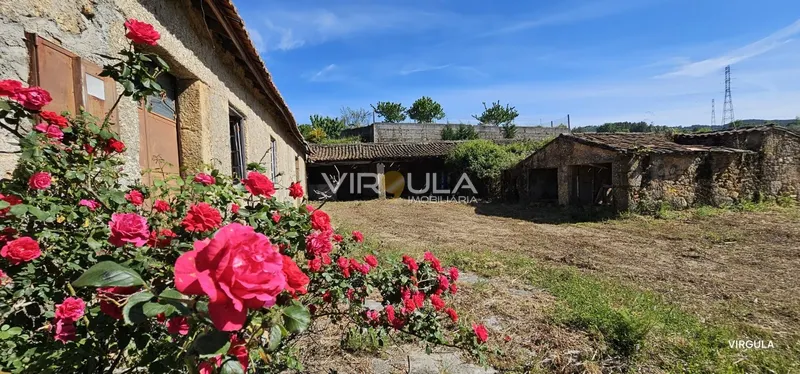 Fattoria / Cascina / Casale 5 Vani